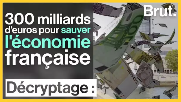 300 Md€ pour sauver l'économie française : comment ça marche ?