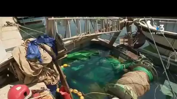 Bastia : un bateau de pêche coule dans le vieux port