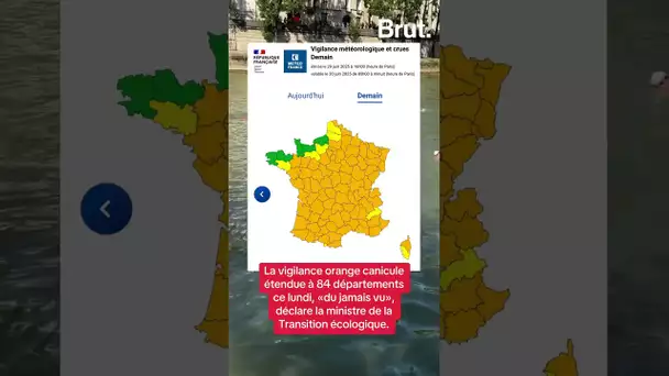 La vigilance orange canicule étendue à 84 départements ce lundi.