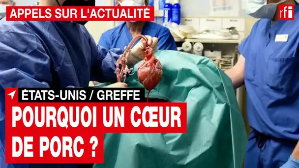 États-Unis - médecine : le cœur d'un cochon greffé sur un humain • RFI