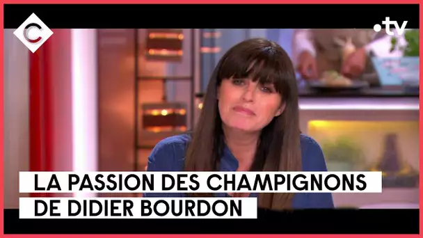 Didier Bourdon, passion champignons - La Chronique enchantée - C à vous - 13/06/2023