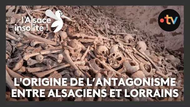 Insolite : l'origine de l'antagonisme entre les Alsaciens et les Lorrains