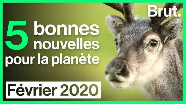 5 bonnes nouvelles en février 2020