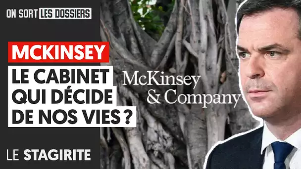 MC KINSEY : LE CABINET QUI DECIDE DE NOS VIES ?