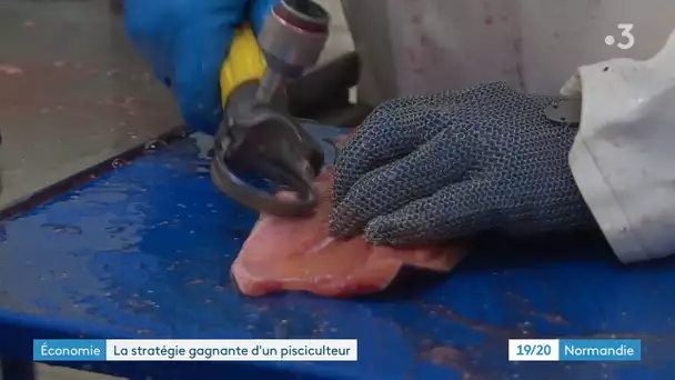 A Saint Saëns, une entreprise de pisciculture trouve une autre clientèle