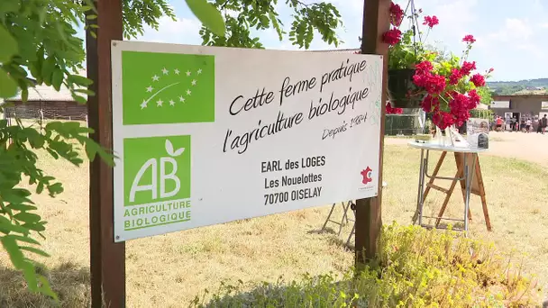 4 fermes bio ouvrent leurs portes en Haute-Saône