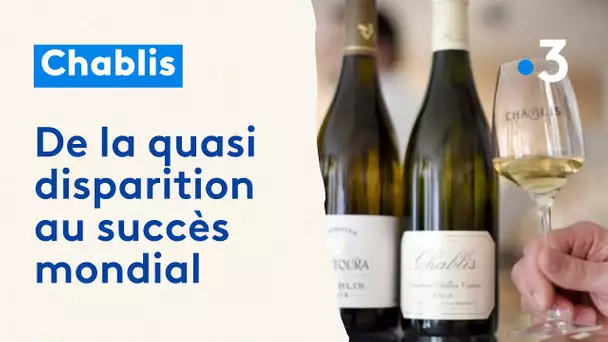 Chablis : de la quasi disparition dans les années 50 au succès mondial