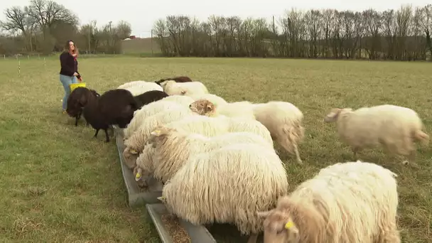 Itinéraire bis à Archigny dans la Vienne