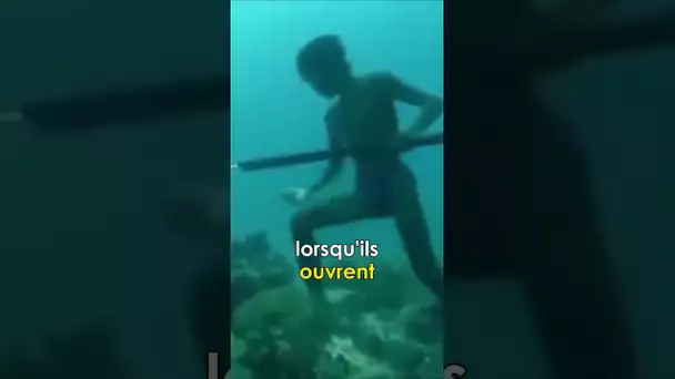 Pourquoi on voit flou sous l'eau ?