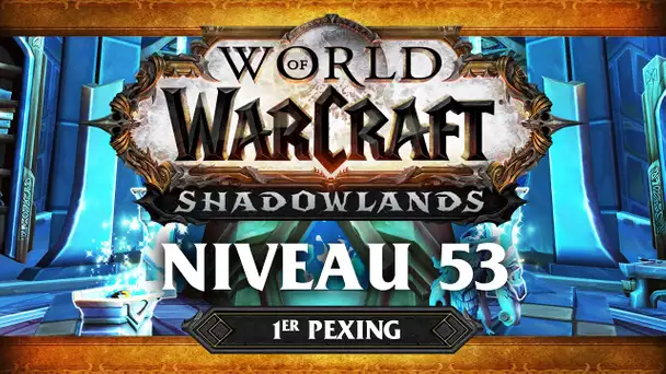 WoW Shadowlands #2 : Niveau 53 (ft. Lapi, Gius, Kenny et Flora)