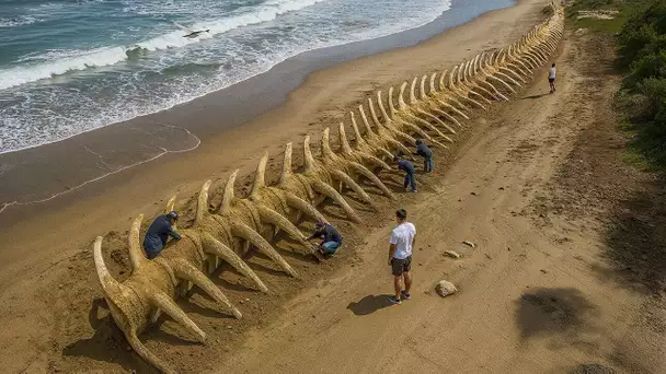 Pousse-toi, Mégalodon - Les scientifiques ont découvert quelque chose de plus grand