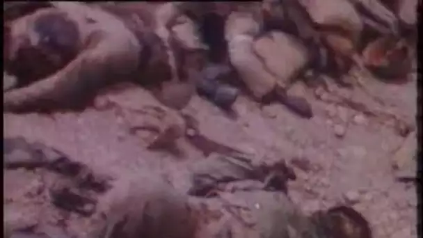 Guerre Irak-Iran