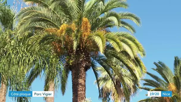 Découvrez l’histoire du parc Vigier dans la rubrique de France 3 « Côté plaque»