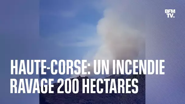 Haute-Corse: un incendie ravage près de 200 hectares près de Saint-Florent