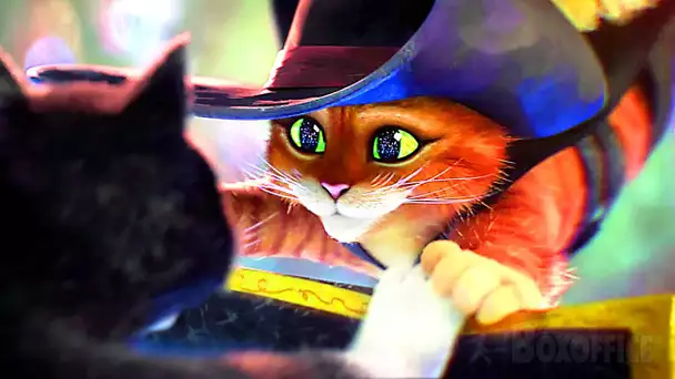 Le Chat Potté & Kitty se battent en dansant | Le Chat potté 2 | Extrait VF
