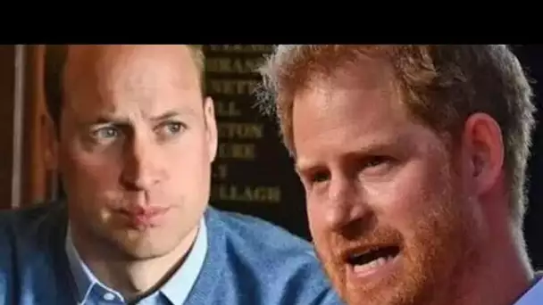 Le prince William "se sent très trahi" alors qu'Harry a rompu un lien étroit avec un livre à la mâch