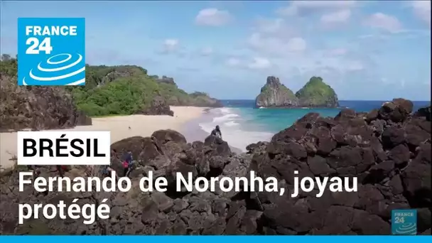 Brésil : Fernando de Noronha, un joyau jalousement protégé • FRANCE 24