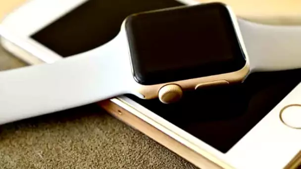 iPhone : Apple réalise un chiffre d'affaires record avec son téléphone !