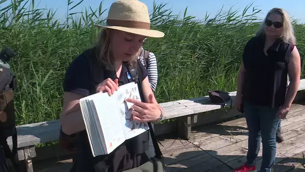 Loire-Atlantique : balade ornithologique à Lavau-sur-Loire