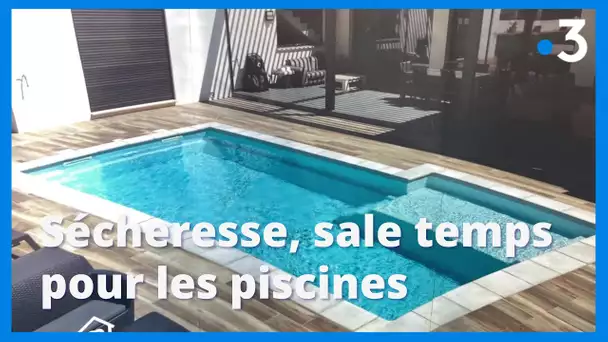 Sécheresse : le marché des piscines en crise en raison des restrictions d'eau