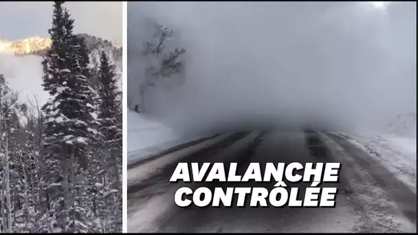 Les images spectaculaires de cette avalanche qui dévale un canyon et ensevelit la route