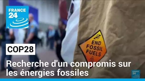 COP28 : à la recherche d'un compromis sur les énergies fossiles • FRANCE 24