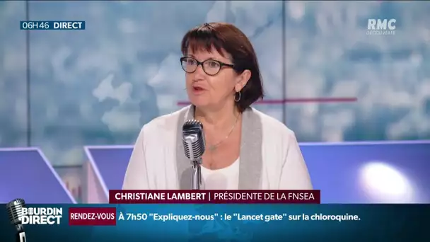 Manger français pour sauver l'agriculture? "Si on achète que low-cost, on tue l'emploi français"
