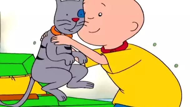 La Valise de Caillou | Caillou en Français