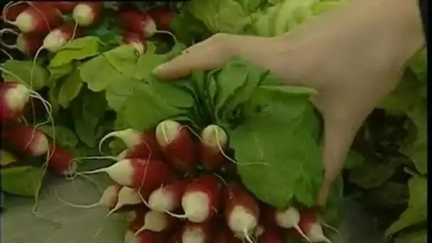 Jeunes adultes / légumes