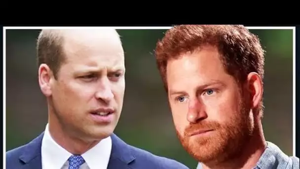 Le prince Harry a prévenu qu'il disposait d'une option pour rétablir sa relation avec le prince Will