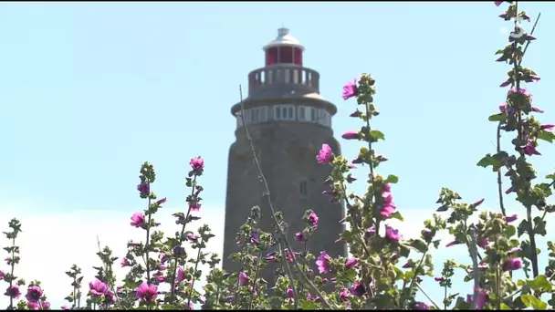 Un phare au cœur d'un environnement sauvage : plein feu sur le cap Lévi