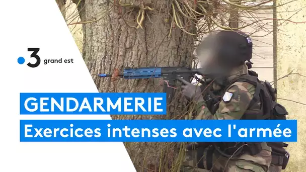 Entraînement extrême pour les gendarmes du PSIG de Châlons-en-Champagne