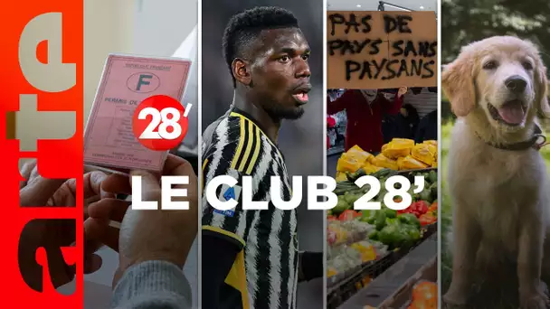 Permis de conduire, crise agricole, Paul Pogba…: le Club 28’ ! - 28 Minutes - ARTE