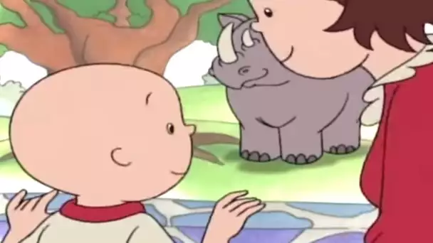 Caillou en Français - Caillou et L&#039;aventure au Zoo | dessin animé en francais | conte pour enfant