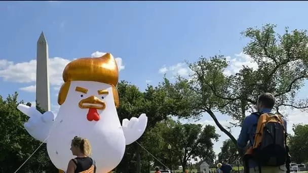 Un poulet géant à l’effigie de Donald Trump installé devant la Maison-Blanche