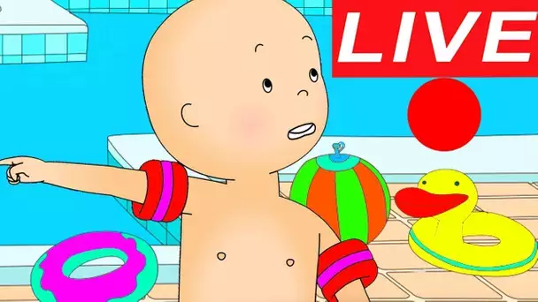 Caillou en Français | Caillou Apprend à Nager | Chaîne Officielle (Français) LIVE #CaillouEnFrancais