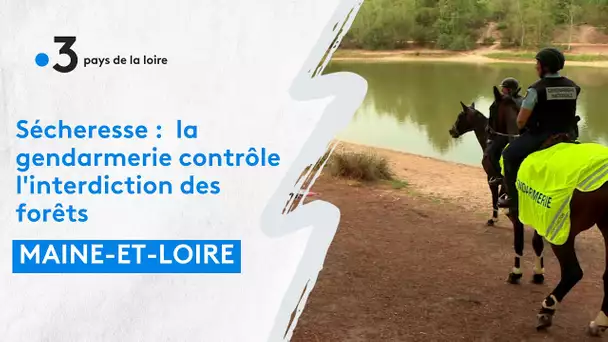 Sécheresse : L'ONF et la gendarmerie contrôlent l'interdiction des forêts du Maine-et-Loire