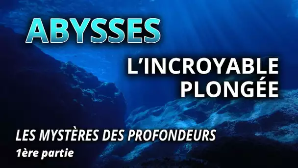 Abysses : l'incroyable plongée - L'Esprit Sorcier