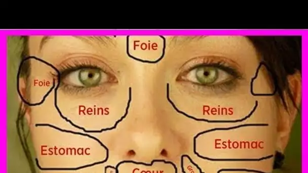 Carte du visage chinoise : les problèmes de peau révèlent l’état des organes vitaux du corps