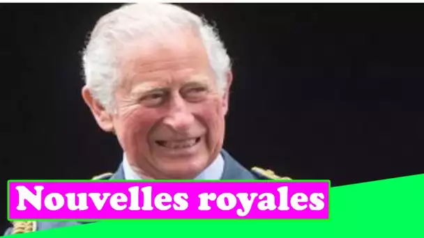 Le prince Charles s'inspire du livre de Harry et Meghan avec un grand coup de télévision