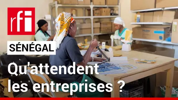 Présidentielle au Sénégal : qu'attendent les entreprises du prochain président ? • RFI
