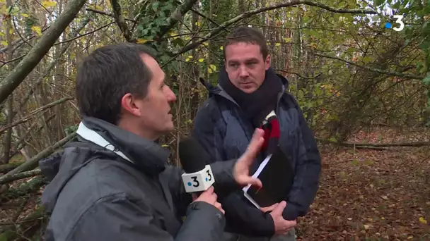 Changement climatique et forêt : l'avis de deux experts