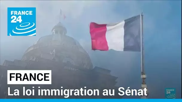 Loi immigration en France : le Sénat s'empare du projet de loi • FRANCE 24