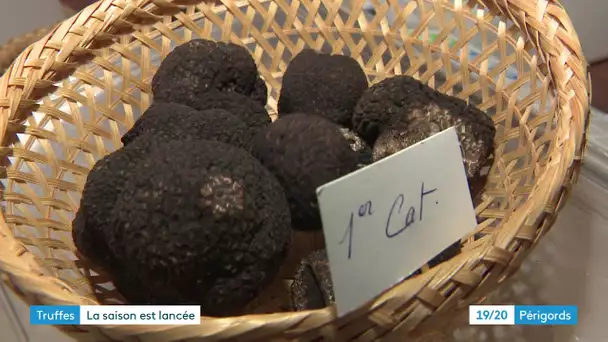 Premier marché aux truffes de la saison à Terrasson