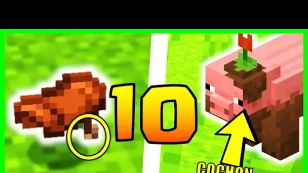 10 SECRETS ✨TOP SECRETS✨ SUR LE COCHON MINECRAFT 1.17