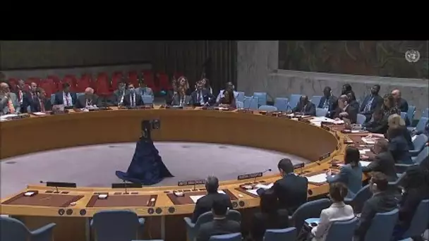 Le Conseil de sécurité de l’ONU se réunit concernant la situation humanitaire en Ukraine