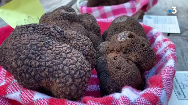 Lalbenque : les fins gourmets au rendez-vous du marché aux truffes d'avant Noël