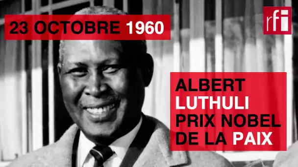 23 octobre 1960 : Albert Luthuli prix Nobel de la paix