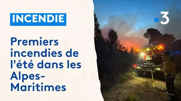Premiers incendies de l'été dans les Alpes-Maritimes