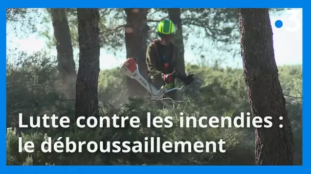 Le débroussaillement, opération indispensable pour éviter les incendies